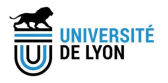 Université de Lyon